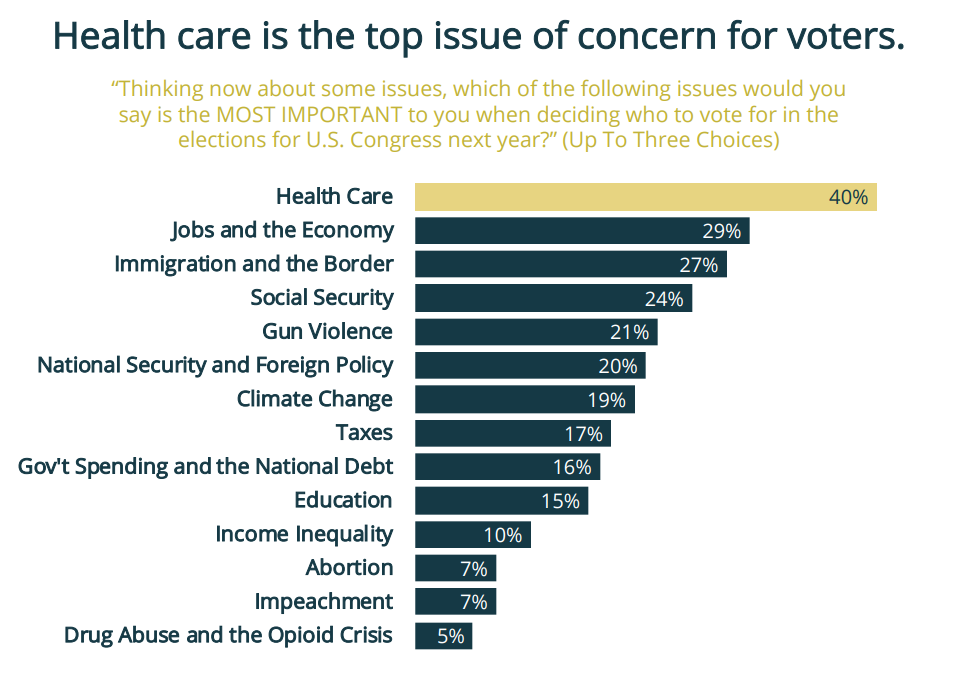 Meeting Street Insights graph showing top issue for voters in 2020 U.S. Congressional elections
